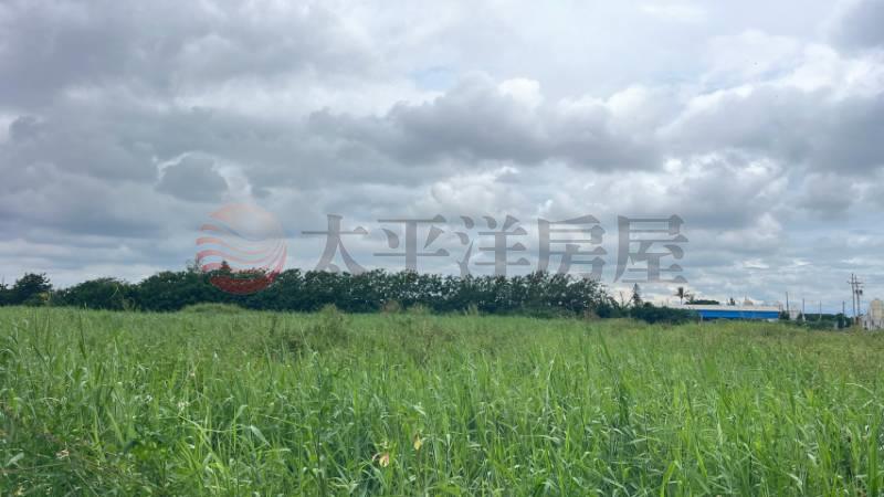 芳苑正臨台17線｜25米大面寬｜685坪
