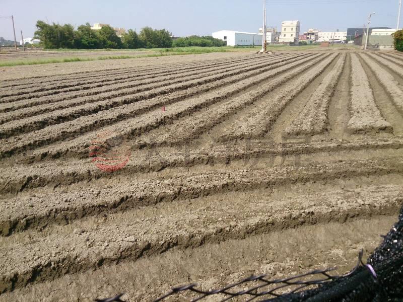 福興近台17臨路美田