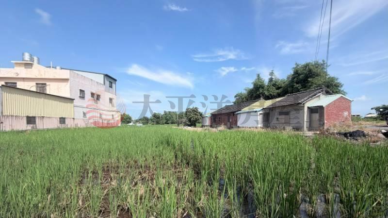 清水千坪大農地｜買地送厝
