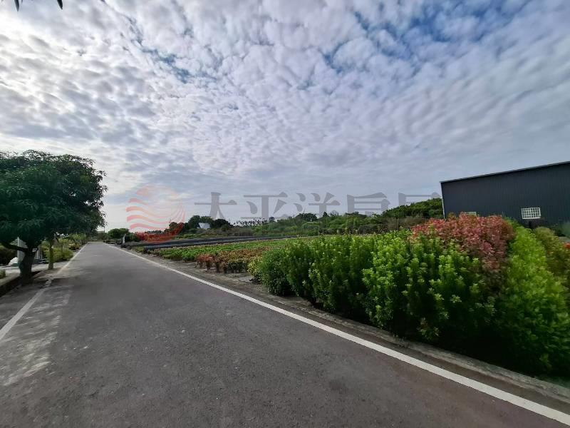 埔心發財苗園美農地