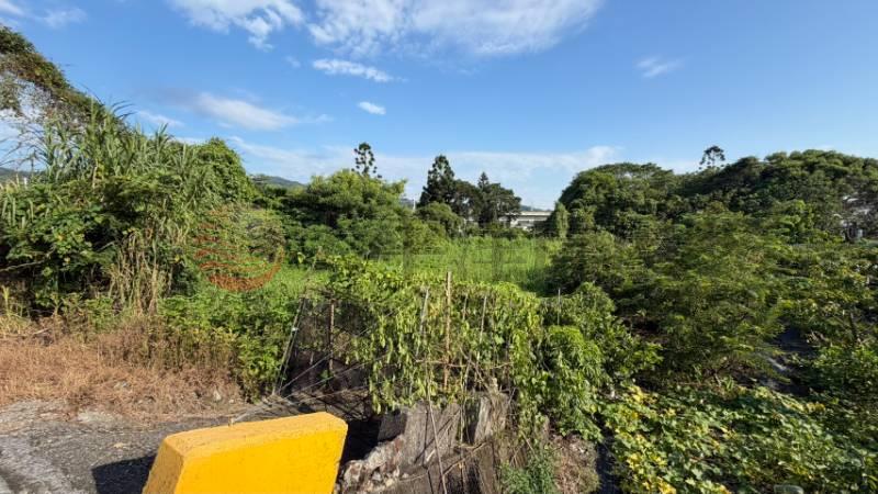 社頭織襪園區旁開心農園