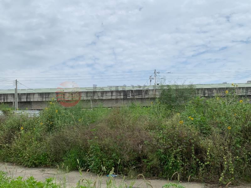大村近龍燈公園優質農地