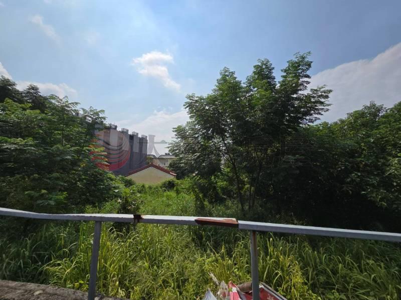 浮圳路旁大面寬田地