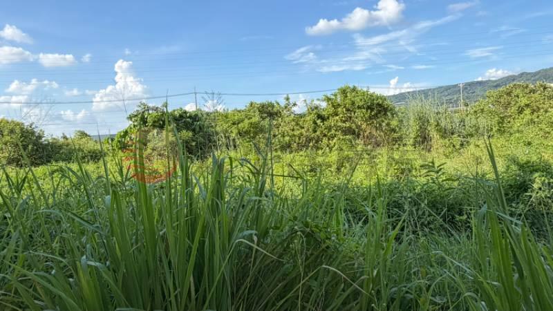 社頭織襪園旁持分土地