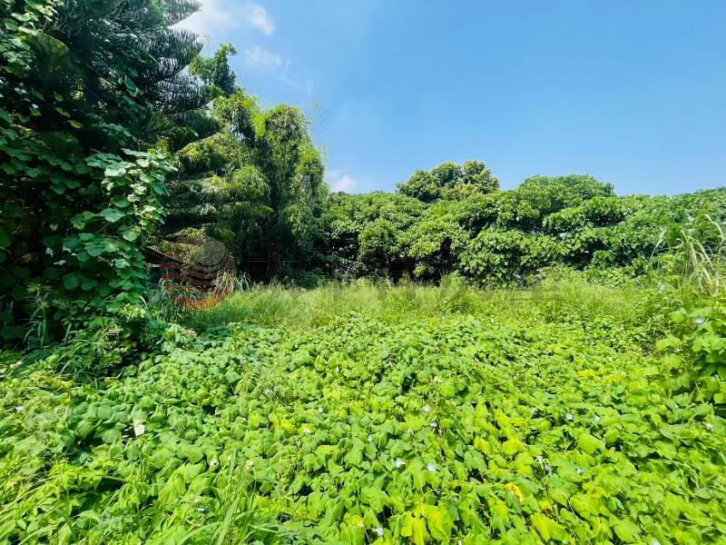 彰市茄苳路美建地