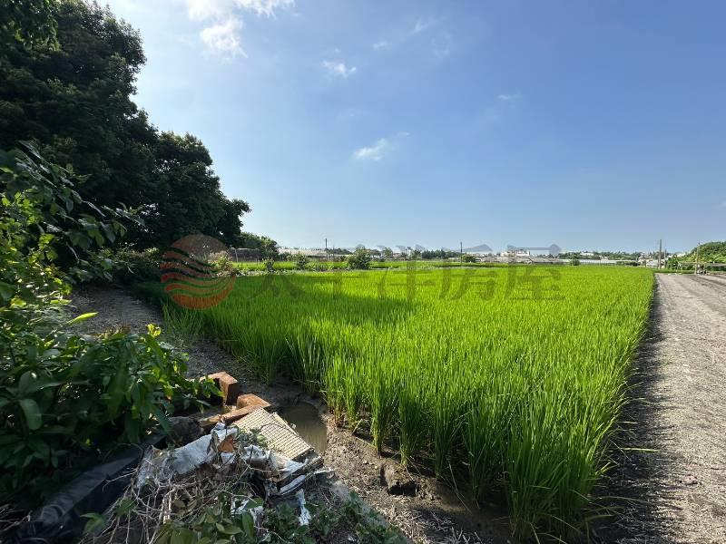 員林交流道旁都市計畫內農地