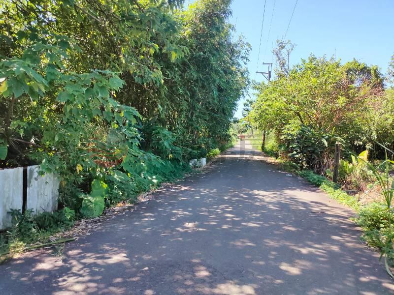 大溪合法【殯葬用地】