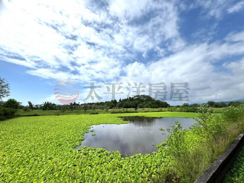 礁溪近國五大面寬農地
