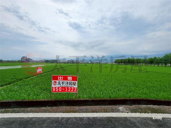 礁溪國五旁農地