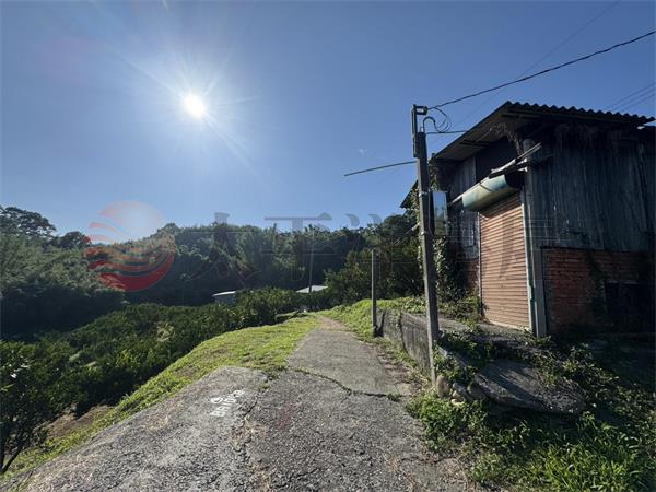 東蘭路農地